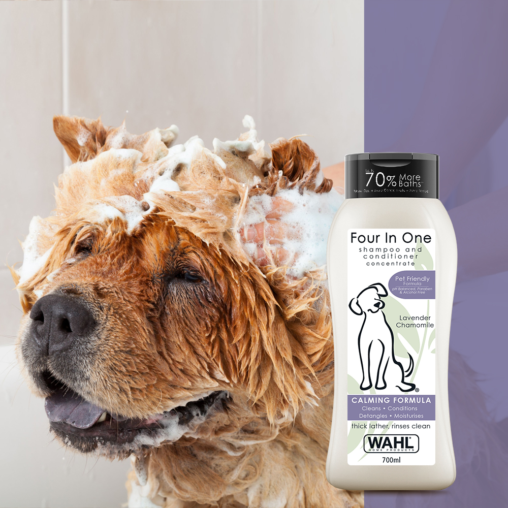 Wahl four in one hotsell dog shampoo